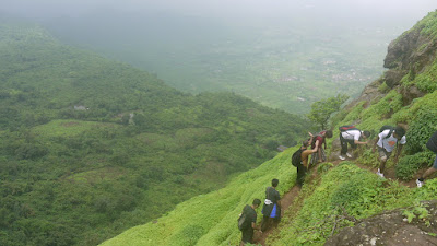 kalavanti