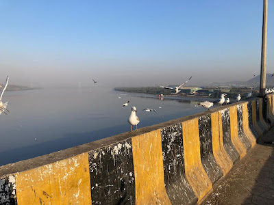 Best Trekking Places Near Mumbai