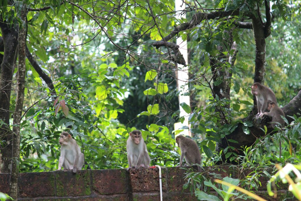 karnala bird sanctuary – birding + trek2