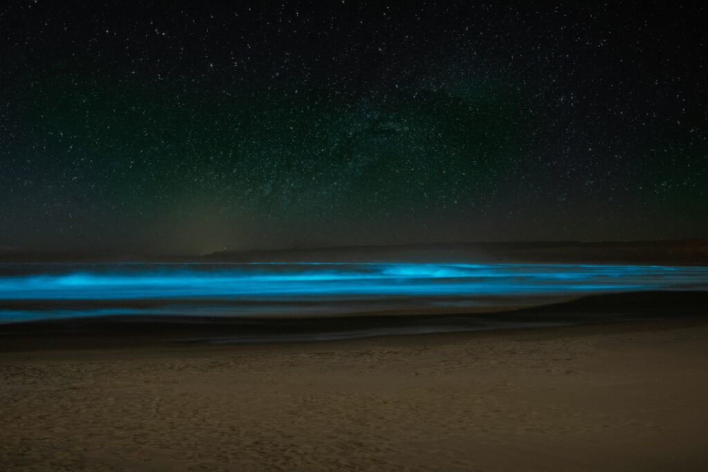 Bioluminescence _ Glowing Beaches