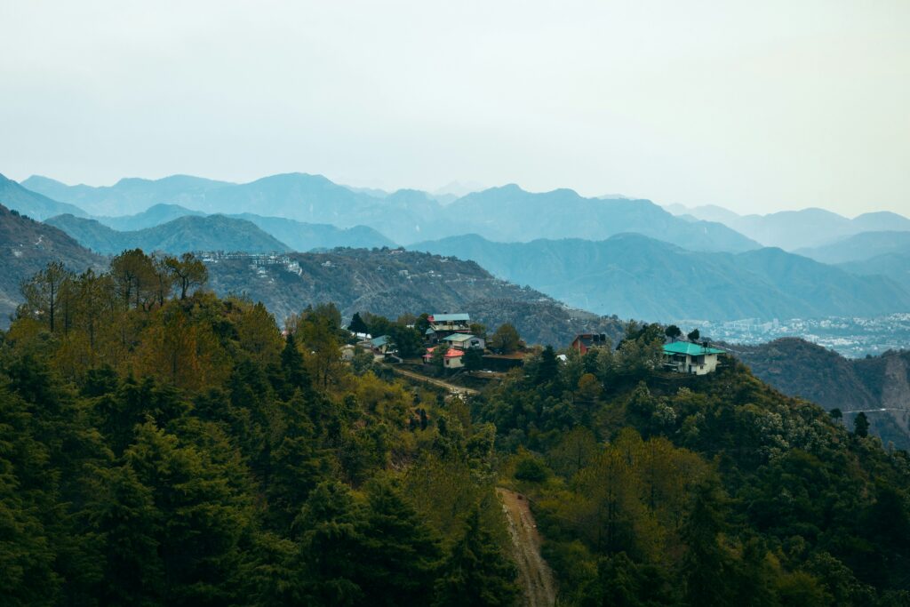 Himalayan Forests
