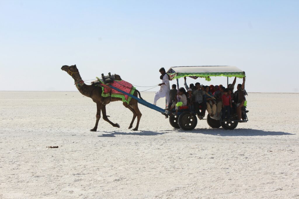 Rann Utsav travel guide