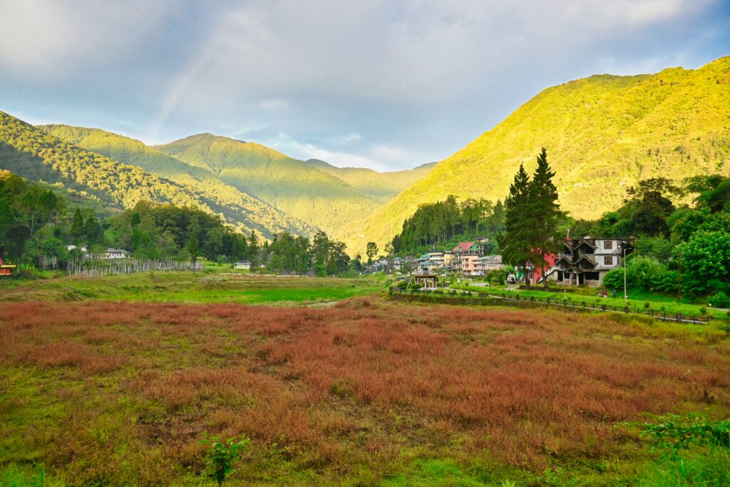 Alpine Meadows Near Uttarey
